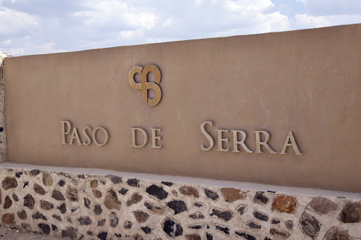 Viñedos Paso de Serra Gallery - Mexico