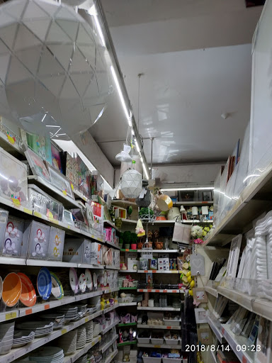 SHOP HOUSE SRL Gallery - Italy