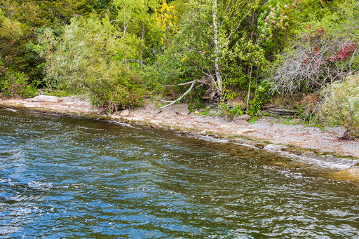 H. J. McFarland Conservation Area - Thumbnail
