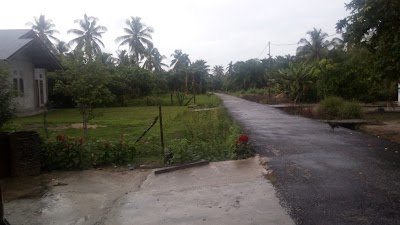 Photos of Penginapan Beringin