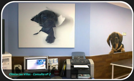 Clinica Veterinaria Las Villas