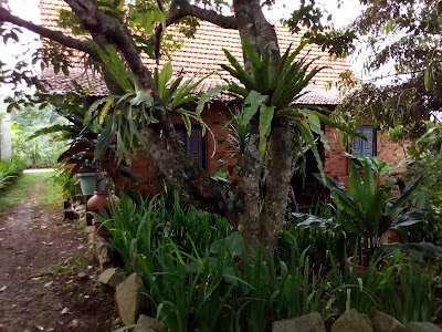 Photos of Farid Shan Fine Art Studio