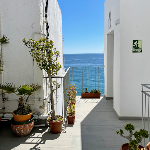 Noeliadahomes inmobiliaria - Thumbnail