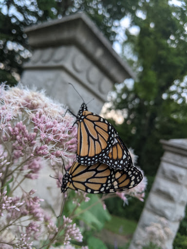 Hanover Valley Trail Entrance - Thumbnail