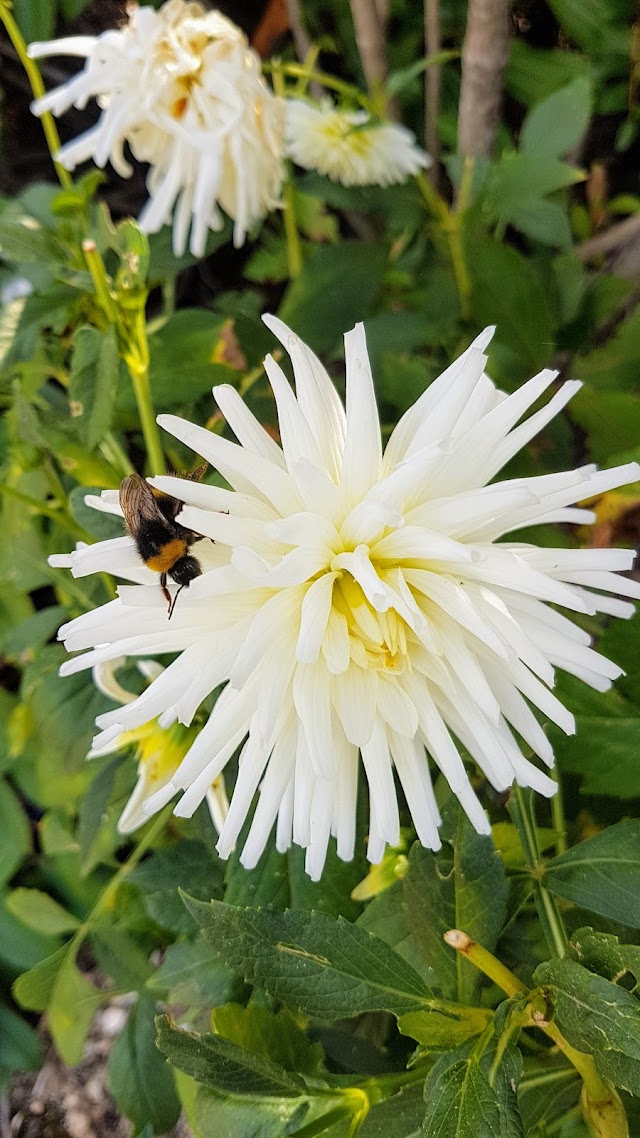 Les Jardins SOTHYS