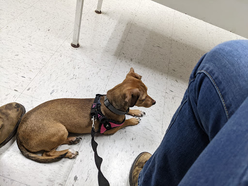 Stateline Animal Hospital Gallery - United States