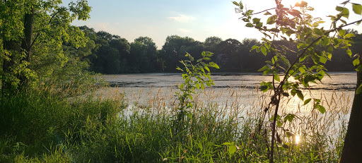 Berry Patch Park - Visual