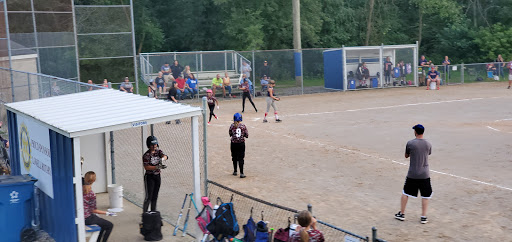 Lowell Bluebirds Softball - Thumbnail