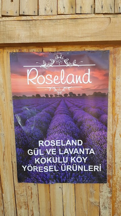 Roseland Gül ve Lavanta Kokulu Köy