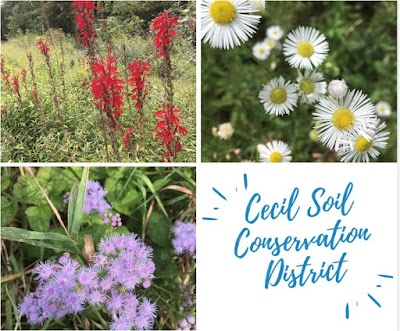 Cecil Soil Conservation District