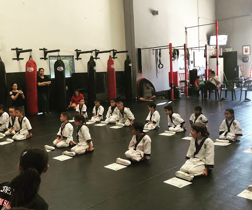 Sasaki's Kenpo Karate Gallery - United States