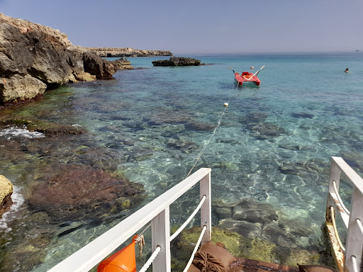 Calamarena - Visual