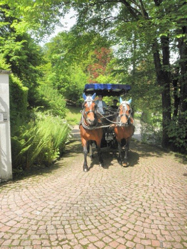 Comentarii opinii despre H&E Kutschenfahrten