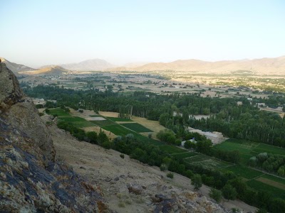 Hodqool Anguri High School