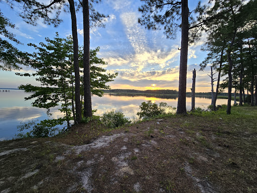 Dixon Landing Gallery - United States