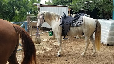 Photos of Seaside Stables Anguilla