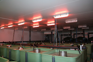 Photo n°11 de Lucas Perches Sarl à Hampont (Entrepreneur spécialisé en aménagement aquatique)