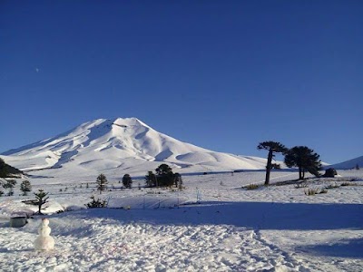 Photos of Kingo Camp