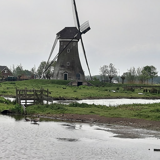 De Loete