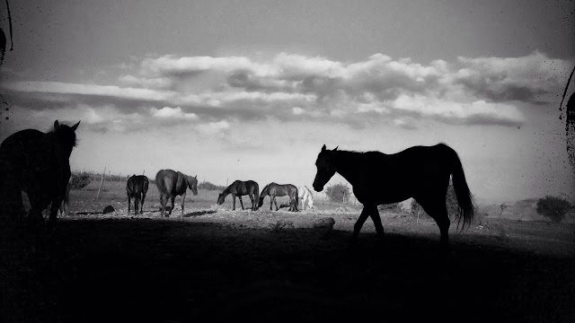 Agriturismo Gorgo del Drago