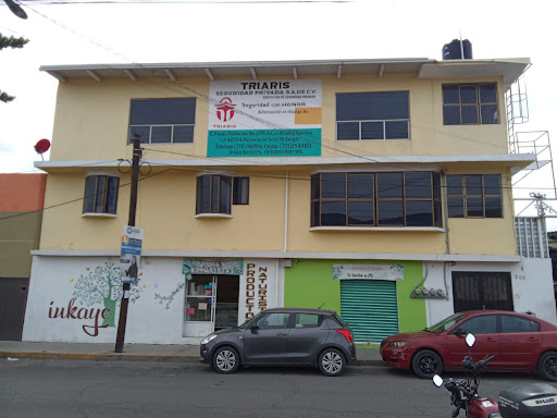 Triaris Seguridad Privada
