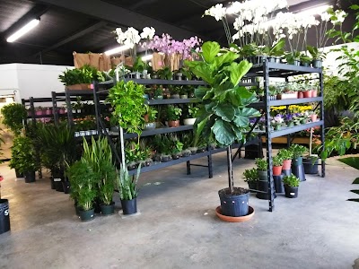 San Antonio Flower Co