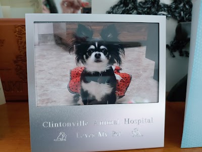 Clintonville Animal Hospital