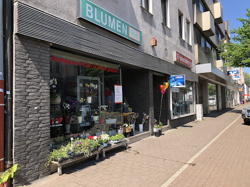 Blumen Erbag