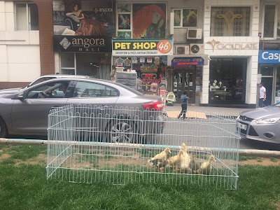 Photos of Pet Shop 46