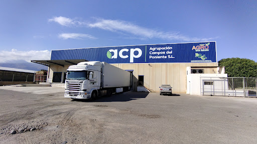 Agrupacion Campos del Levante - Thumbnail