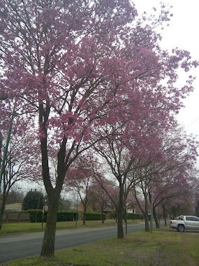 Plaza Don Bosco, Author: Cristina Capriolo