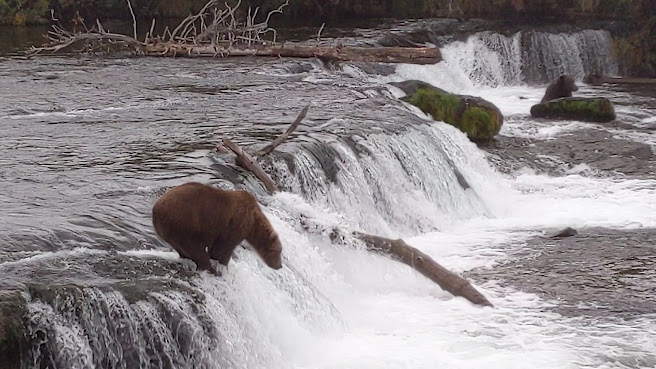 Katmai National Park and Preserve by null