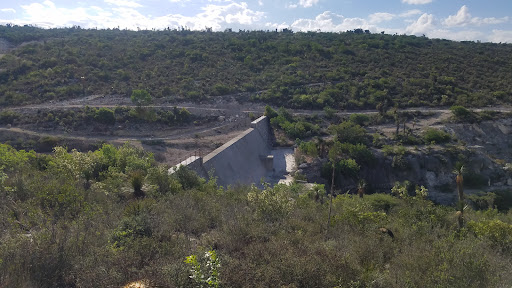 Arenas a Barranca Lote Logo