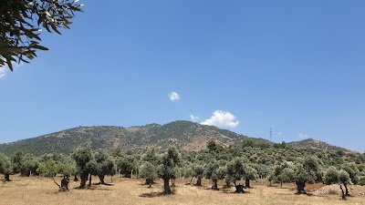 Atatürk Kent Meydanı