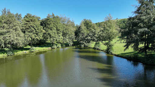 Etang de la grande Ouche