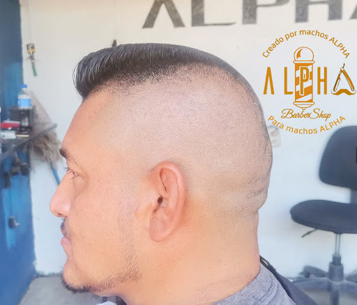 ALPHA Barbershop