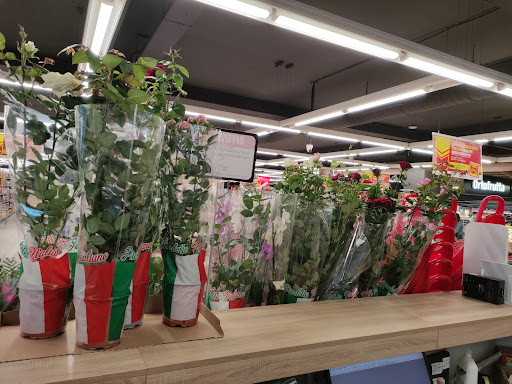 Interspar - Visual