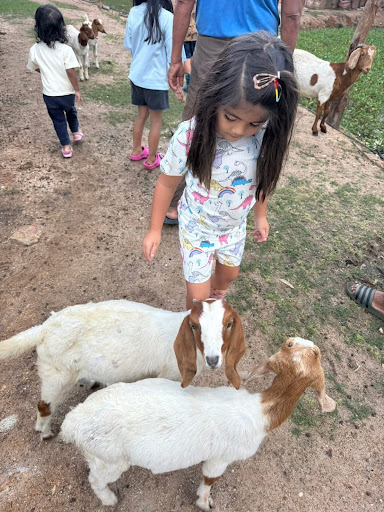 ฟาร์มสุขพ่อเฒ่า Farm Suk Por Tao