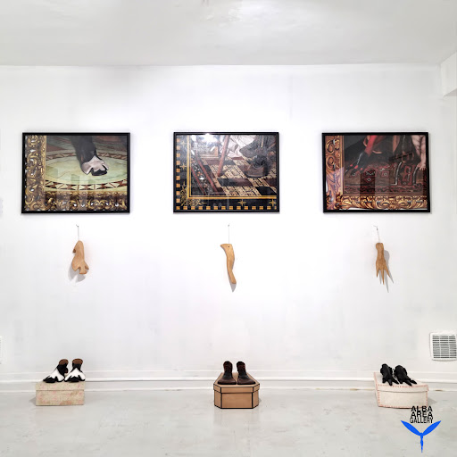 Alba Area Gallery - Visual