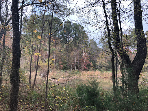 Ruffner Mountain - Visual