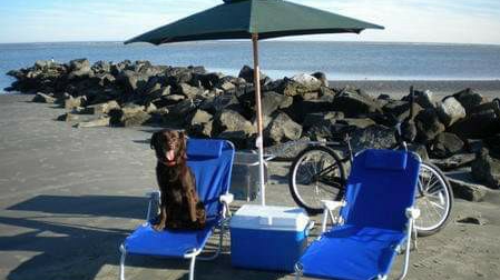 Seabrook Island Beach Chair and Bike Rentals - Thumbnail