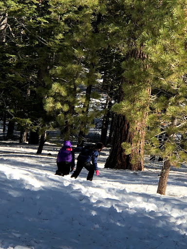 Frazier Park Campsite - Thumbnail