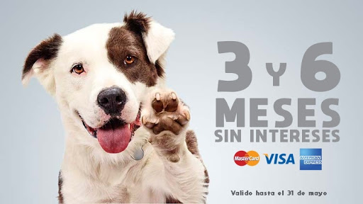 SURVET Centro Veterinario del Sur VETERINARIA