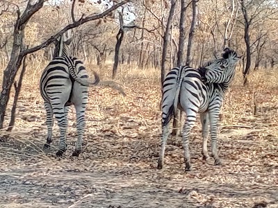 Photos of Kuti Wildlife Reserve Main Gate