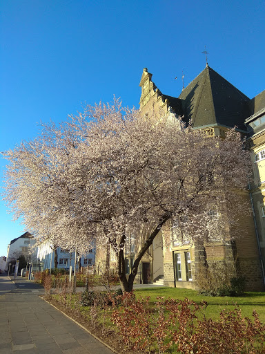 Paul-Gerhardt-Schule Evangelische Grundschule