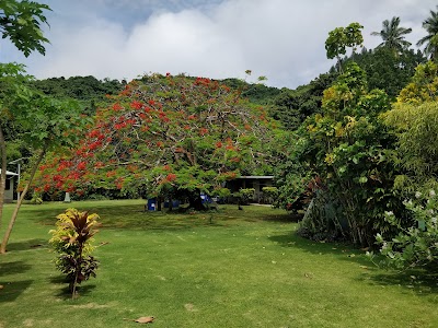Photos of Lawaki Beach House
