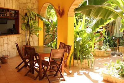 Photos of Orquidea