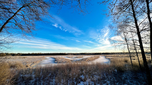 Kroppsjön - Visual