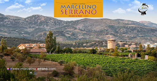 BODEGA: Viñedos y Bodega Marcelino Serrano