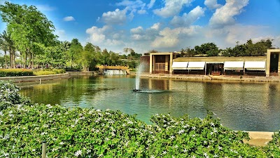 Photos of بحيرة الازهر بارك